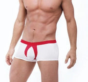 XS Gregg Homme  PUMP-UP Boxer BRIEF WHITE 87305 79