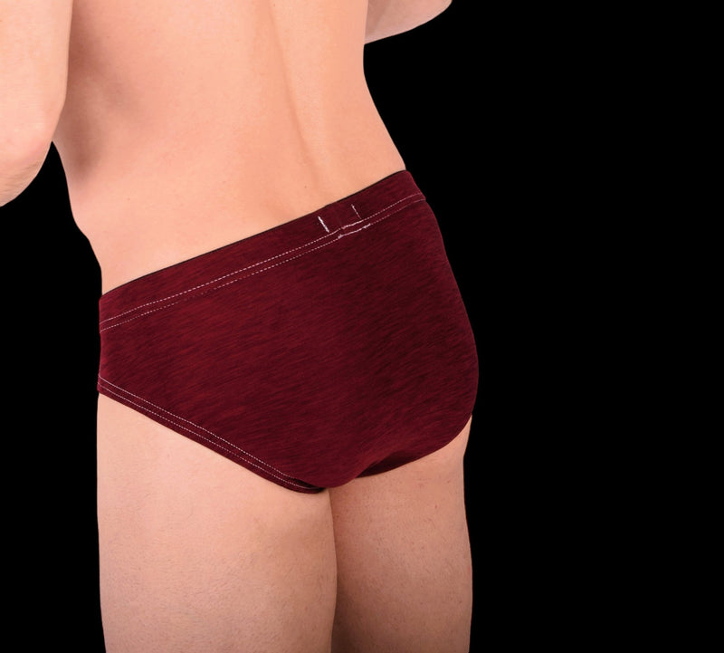 XS SMU Peekaboo Removable Leather Pouch Burgundy Brief H25