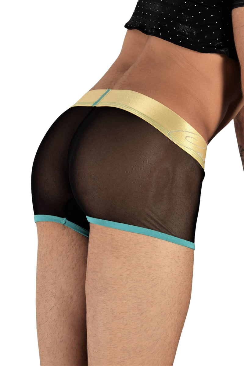 Boxer TANN MONTREAL Mesh Trunks Show Me Off Transparent Trunk Turquoise 4 - SexyMenUnderwear.com