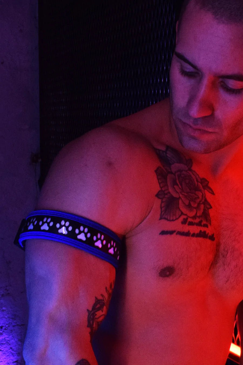 BREEDWELL PUPS POUNDTOWN ARMBAND LASER-CUT PAW PRINT - BLUE - SexyMenUnderwear.com