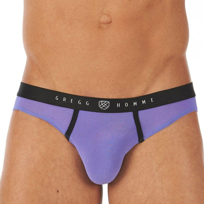Brief Gregg Homme Torridz Hyper-Stretch Briefs Purple 87423 11 - SexyMenUnderwear.com