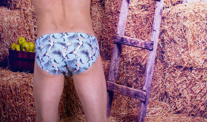 Clever Swimwear Cockatoos Swimsuit Swim Brief 0681 4 - SexyMenUnderwear.com