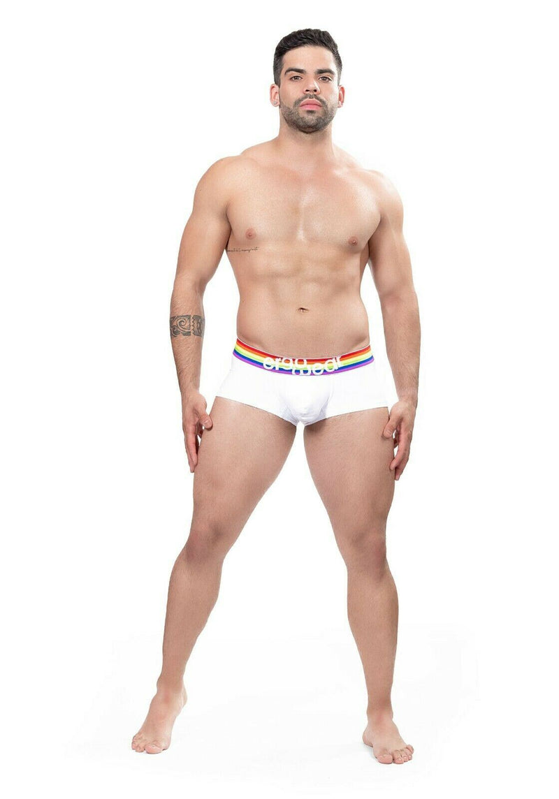 ErgoWear Boxer MAX XV 3D Pouch Hyper-Soft Rainbow Gay Pride Boxer White 1116 1 - SexyMenUnderwear.com