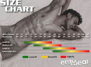 ErgoWear Hip Bikini Brief Super Soft Low-Rise Briefs in Electric Blue 1360 - SexyMenUnderwear.com