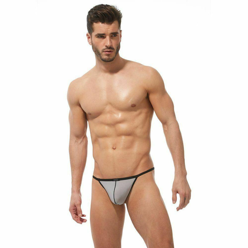G-Stings Gregg Homme TORRIDZ Micro-fibre tangas Silver 87414 16 - SexyMenUnderwear.com