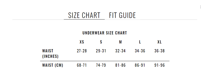 G-Stings Gregg Homme TORRIDZ Micro-fibre tangas Silver 87414 16 - SexyMenUnderwear.com