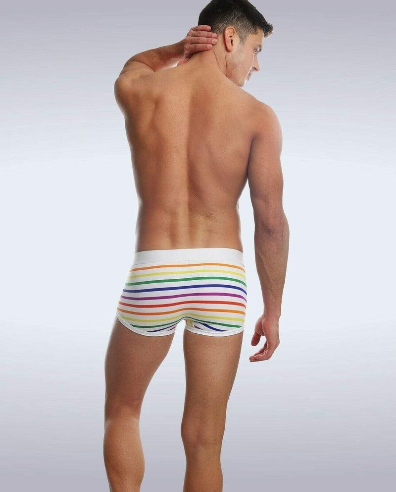 Garcon Model Boxer Trunk Chelsea Gay Pride Underwear Rainbow 2 - SexyMenUnderwear.com