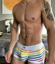 Garcon Model Boxer Trunk Chelsea Gay Pride Underwear Rainbow 2 - SexyMenUnderwear.com