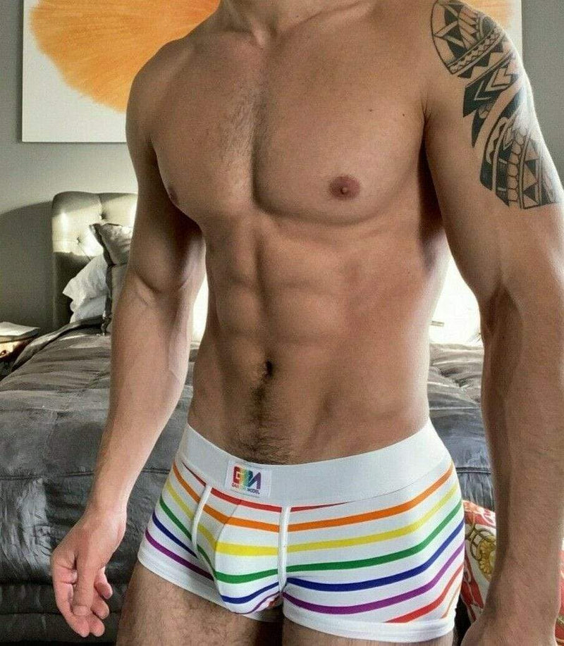 Garcon Model Boxer Trunk Chelsea Gay Pride Underwear Rainbow 2 - SexyMenUnderwear.com