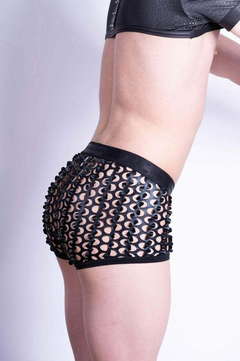 Gregg Homme 3g boxer Fresh Air See-through Hipster 2735 13 - SexyMenUnderwear.com