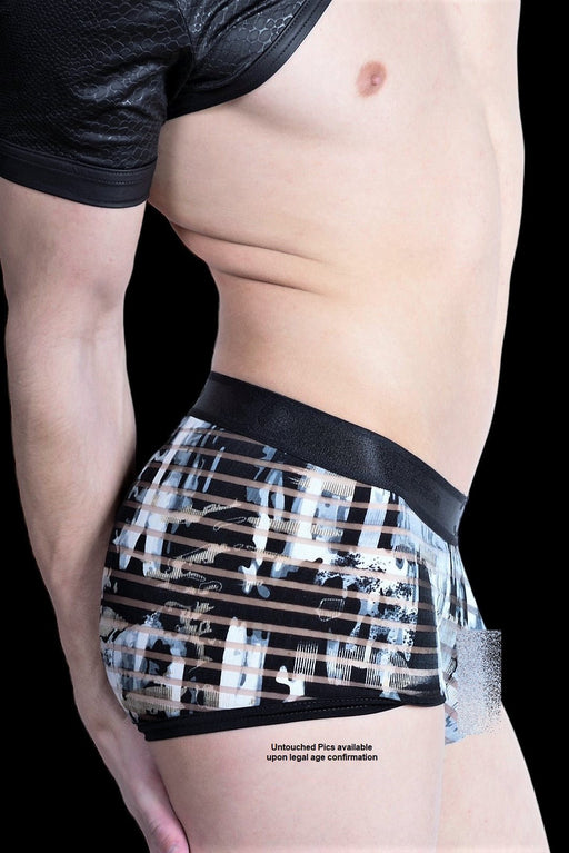 Gregg Homme 3G Stripper Semi Sheer Boxer Brief 6001 4 - SexyMenUnderwear.com