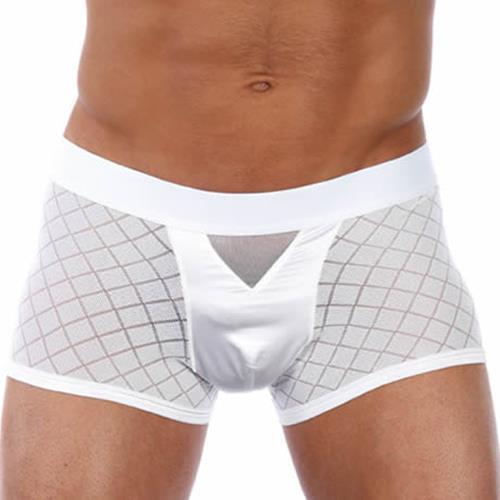 Gregg Homme Activ Boxer Brief Silky White 76305 1 - SexyMenUnderwear.com