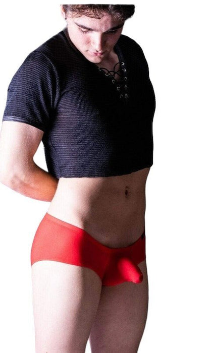 Gregg Homme Boxer Brief Torridz Silky-Feel Slip Red 87405 2 - SexyMenUnderwear.com