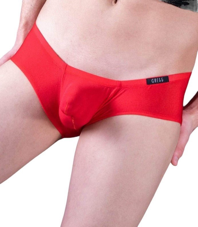 Gregg Homme Boxer Brief Torridz Silky-Feel Slip Red 87405 2 - SexyMenUnderwear.com