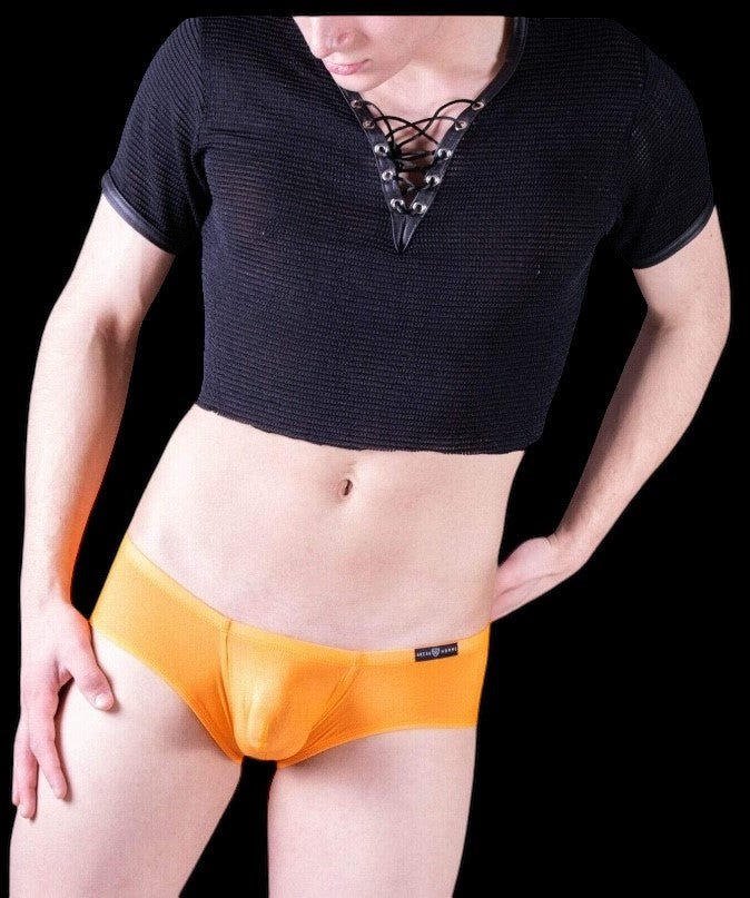 Gregg Homme Boxer Brief Torridz Spandex-Microfiber Orange 87405 3 - SexyMenUnderwear.com