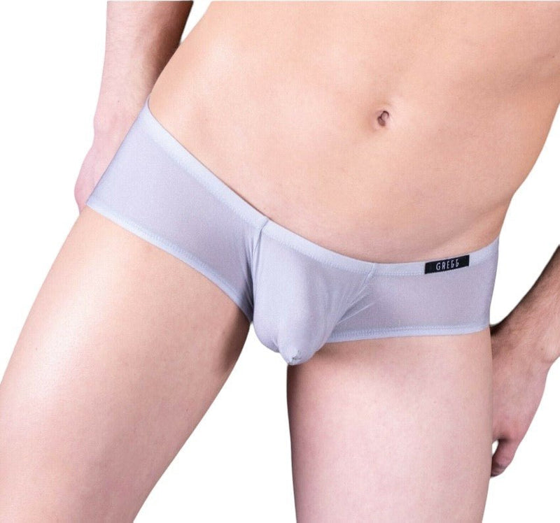 Gregg Homme Boxer Brief Torridz Super Elastics Fabric Silver 87405 5 - SexyMenUnderwear.com