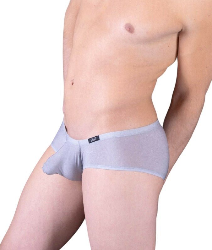 Gregg Homme Boxer Brief Torridz Super Elastics Fabric Silver 87405 5 - SexyMenUnderwear.com