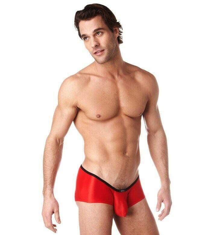 Gregg Homme Boxer Brief Voyeur Underwear Red 100605 39 - SexyMenUnderwear.com