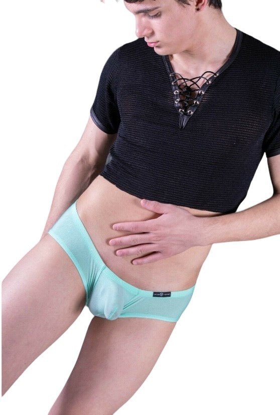 Gregg Homme Boxer Briefs Torridz Canada Made Microfiber Mint 87405 8 - SexyMenUnderwear.com