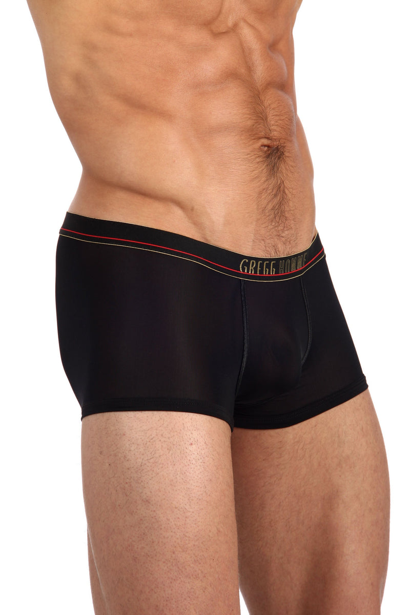 Gregg Homme Brief  103
