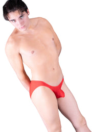 Gregg Homme Brief Torridz Microfiber Underwear Slips Red 87403 18 - SexyMenUnderwear.com