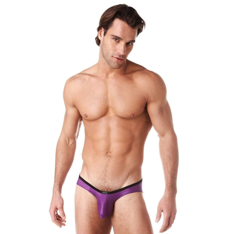 Gregg Homme Brief Voyeur HyperStretch Soft Purple 100603 51 - SexyMenUnderwear.com