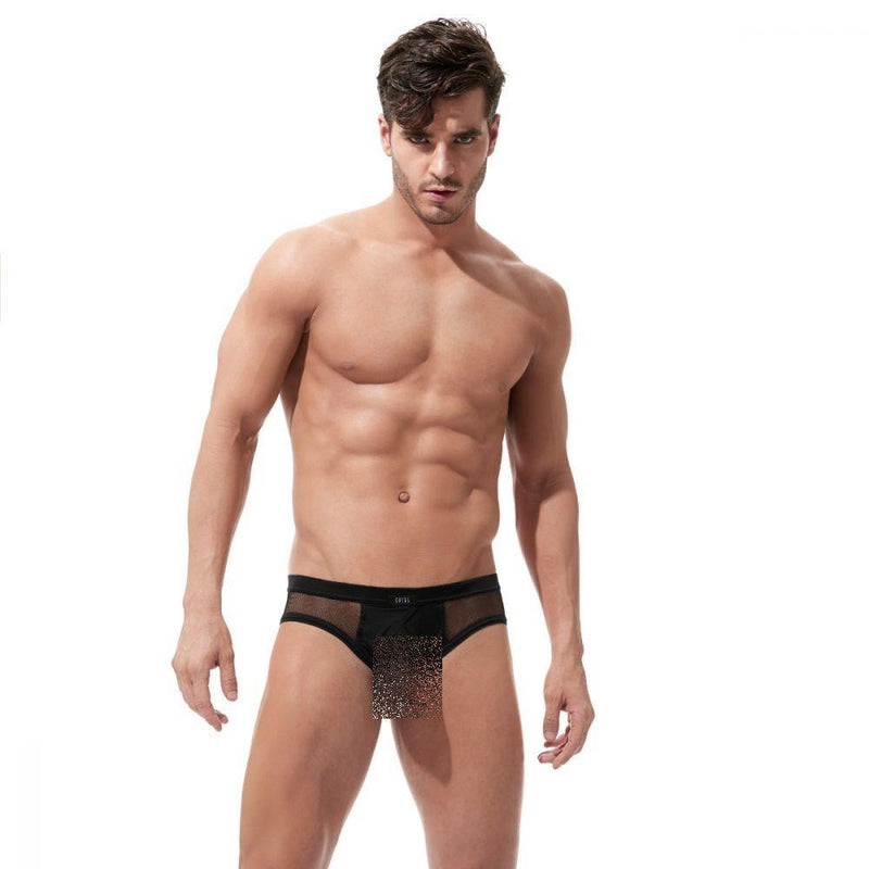 Gregg Homme Brief X-Rated Maximizer Seethrough Mesh Black 85003 79 - SexyMenUnderwear.com