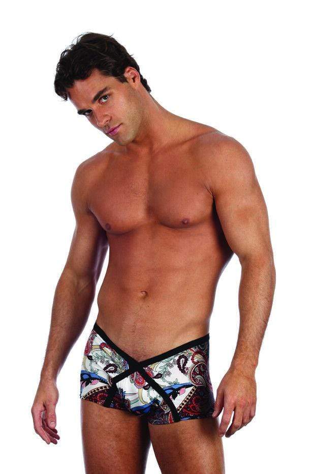 GREGG HOMME Gregg Homme Mens Underwear Havana Mens Boxer Nice Design Fashion 77005 XS 4