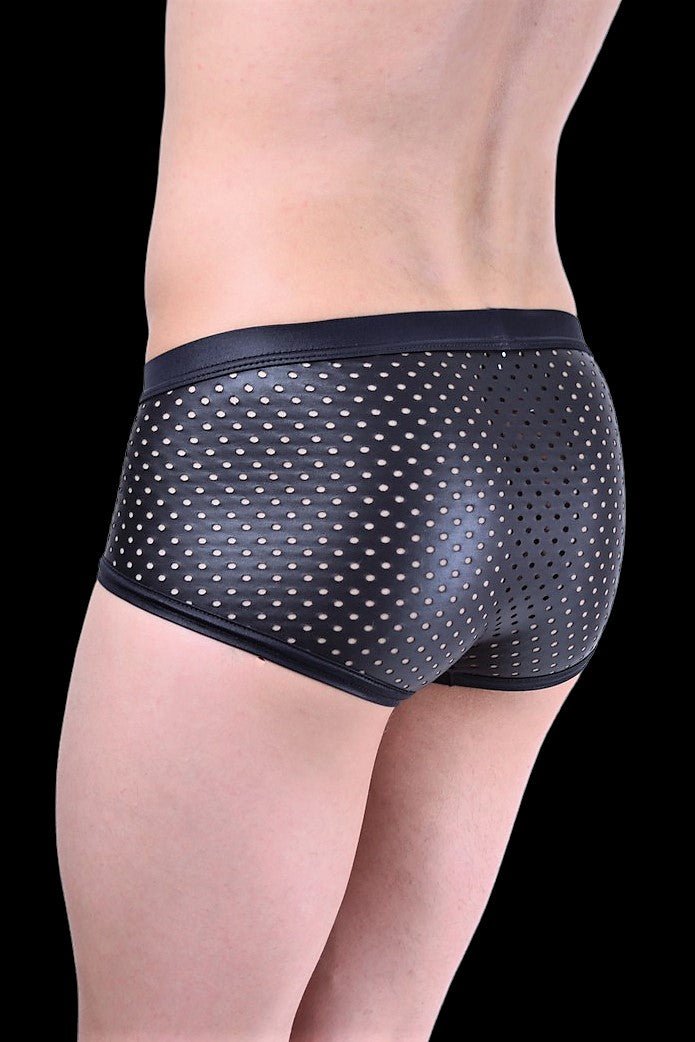 Gregg Homme IMPULSE 2.0 Boxer briefs Leather look 1019 8 - SexyMenUnderwear.com