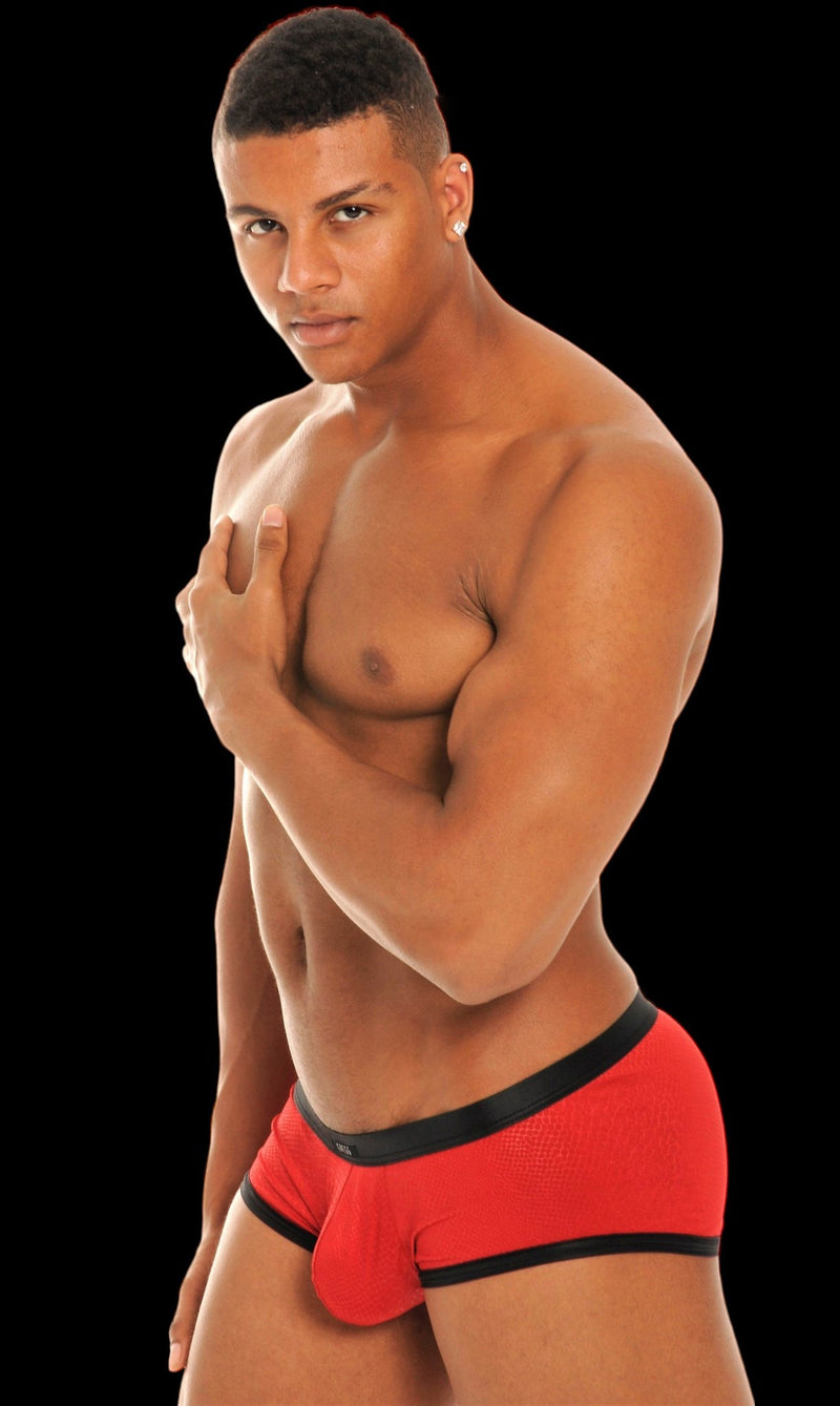 Gregg Homme Retro Venom Boxer Briefs 201005 Red 25H - SexyMenUnderwear.com