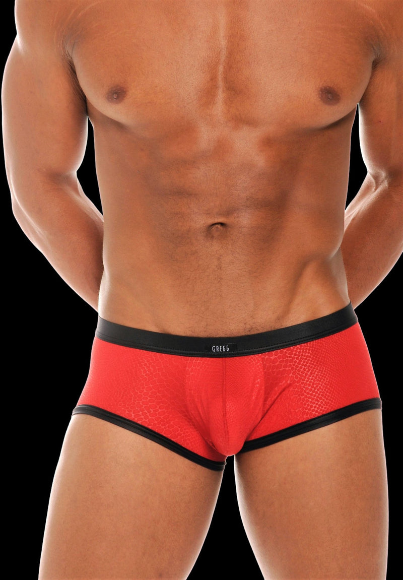 Gregg Homme Retro Venom Boxer Briefs 201005 Red 25H - SexyMenUnderwear.com