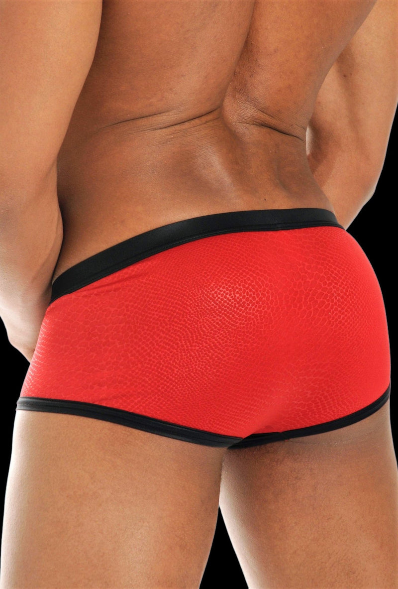 Gregg Homme Retro Venom Boxer Briefs 201005 Red 25H - SexyMenUnderwear.com