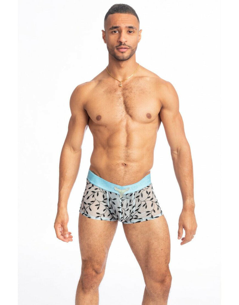 L'Homme Invisible V-Boxer Push Up Olivier Ergonomic U-Pocket Sky Blue UW05-IVY 8 - SexyMenUnderwear.com