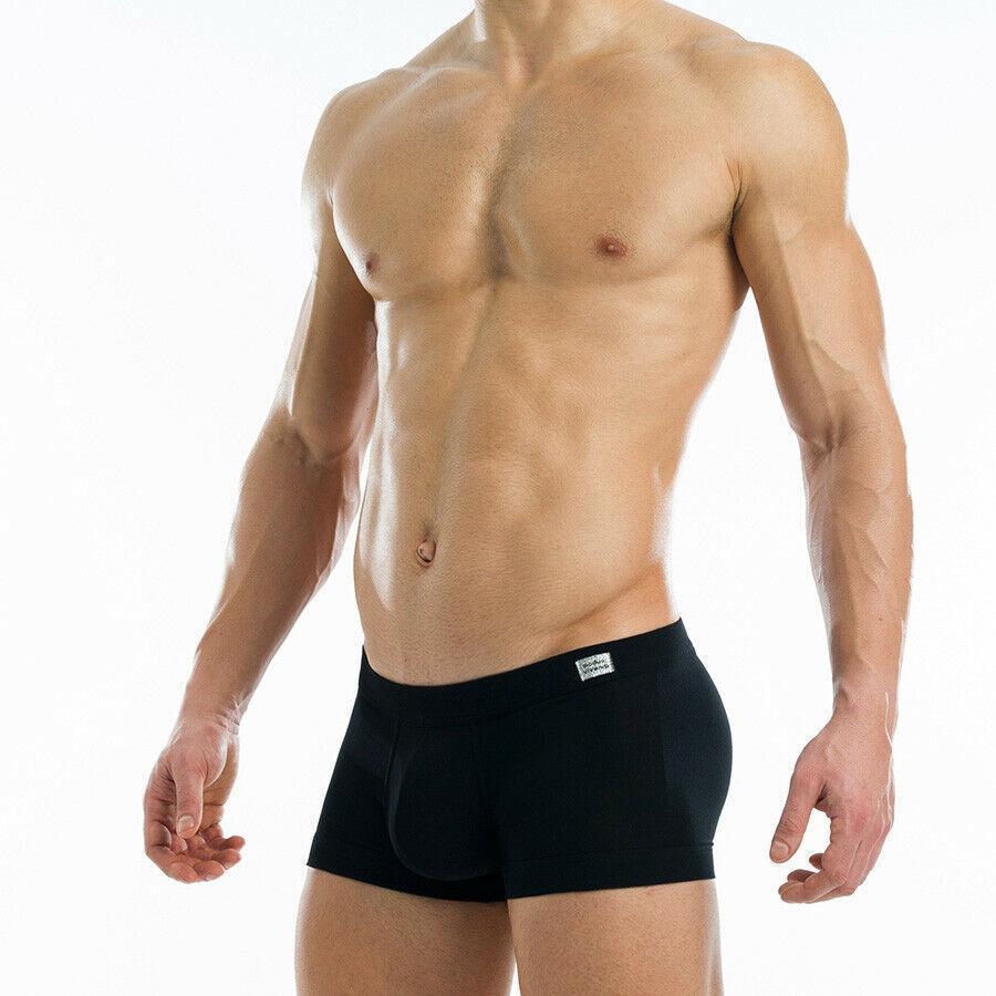 MODUS VIVENDI BOXER