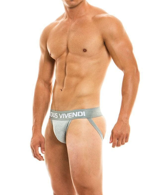 Modus Vivendi Classic Viscose Jock Casual Gray Jock 02911 70 - SexyMenUnderwear.com