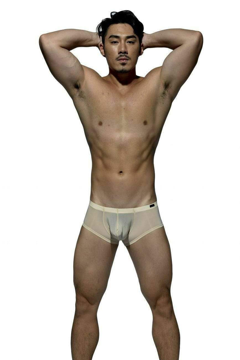 Private Structure Boxer Desire-Glaze Hipster Soft Boxers Nude 3487 81 - SexyMenUnderwear.com