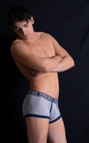 Private Structure L Private Structure Boxers Trunks PRIDE Gay Low Rise Underwear Grey 4020 45
