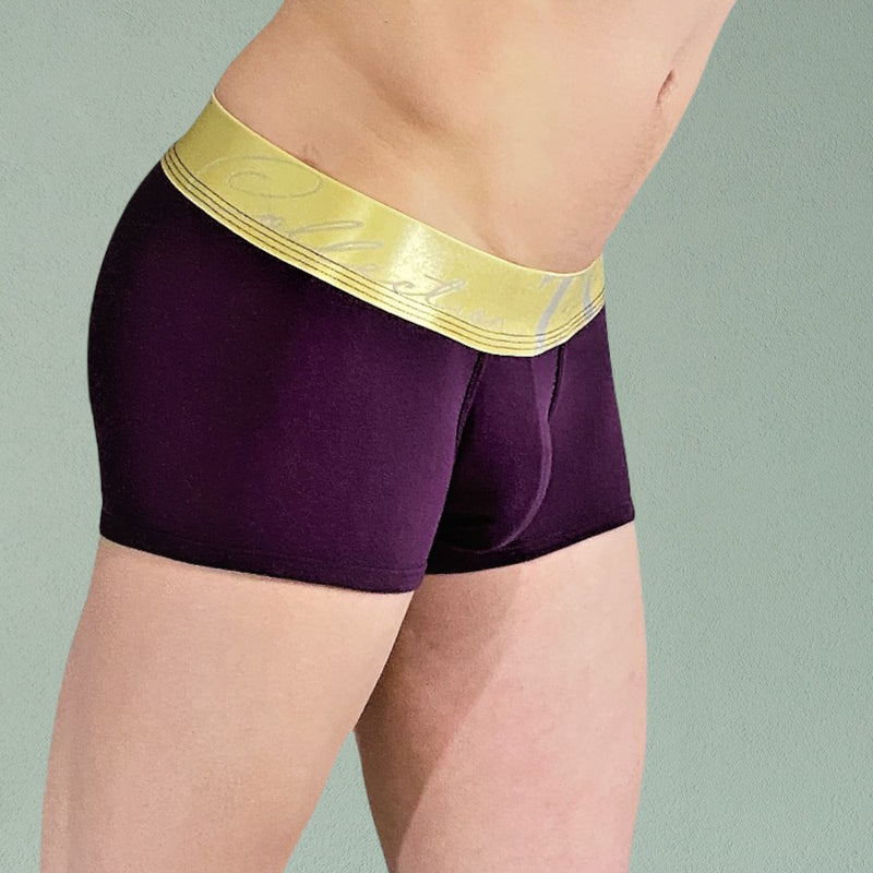 Collection TANN MONTREAL Boxer-Trunks Metallic Gold Elastic Waistband Plum 2 Underwear