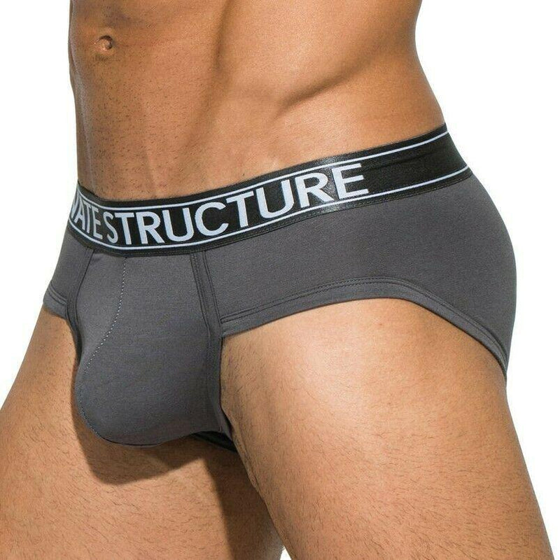 SexyMenUnderwear.com Private Structure Brief Sport Platinum Platinum Low Rise Gray 3748 55