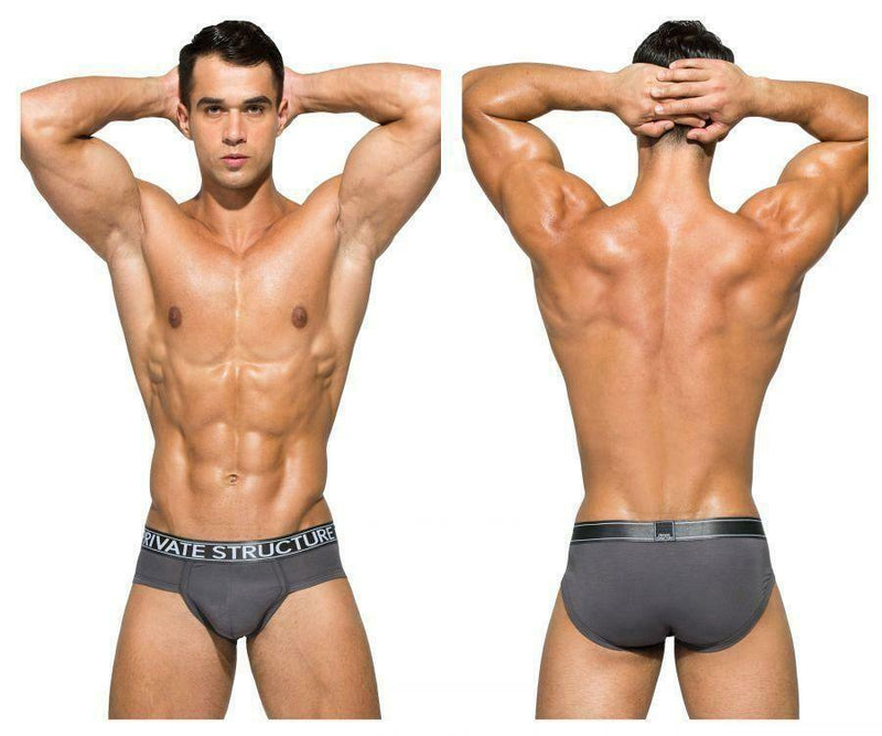 SexyMenUnderwear.com Private Structure Brief Sport Platinum Platinum Low Rise Gray 3748 55