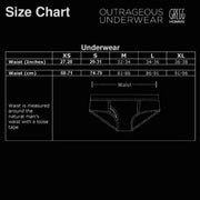 Small Swim-Brief Gregg Homme Reflector Swimwear Black 161103 227