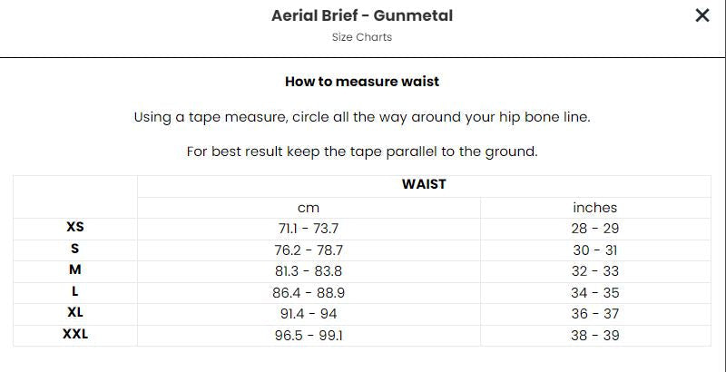 TEAMM8 Aerial Briefs Luxury & Classic 4-Way Stretch Brief Mesh Net Metal 18