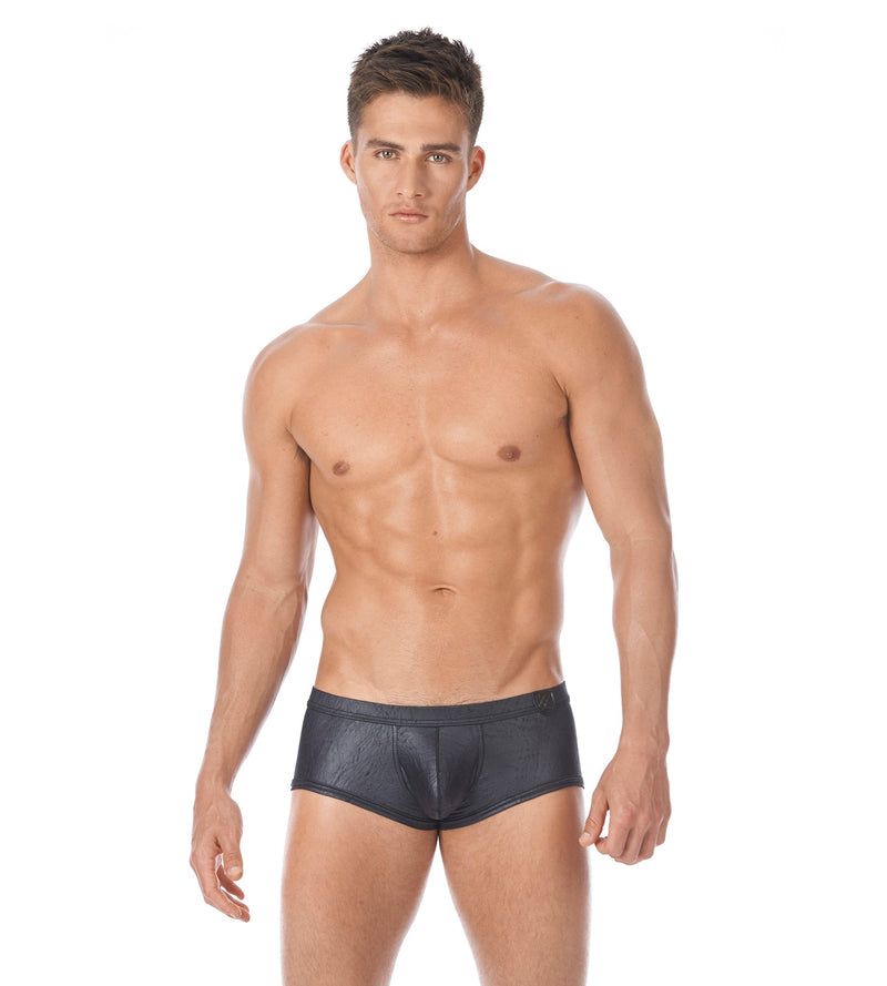 XS Gregg Homme Photoshoot  City limit 122705 boxer 2
