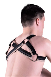 XS to Small Photo Shoot Hot Gregg Homme KIT